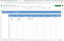 Load image into Gallery viewer, FALSE